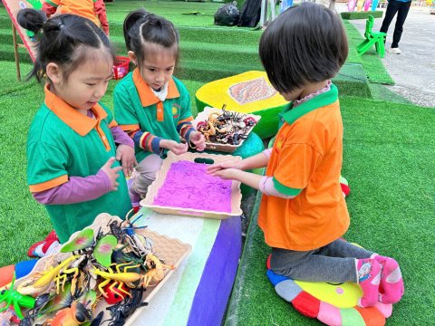 Ảnh hoạt động: HOẠT ĐỘNG NGOÀI TRỜI - SÂN CHƠI BỔ ÍCH CHO TRẺ MẦM NON