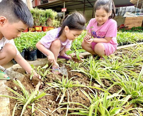Ảnh hoạt động: HOẠT ĐỘNG NGOÀI TRỜI - SÂN CHƠI BỔ ÍCH CHO TRẺ MẦM NON