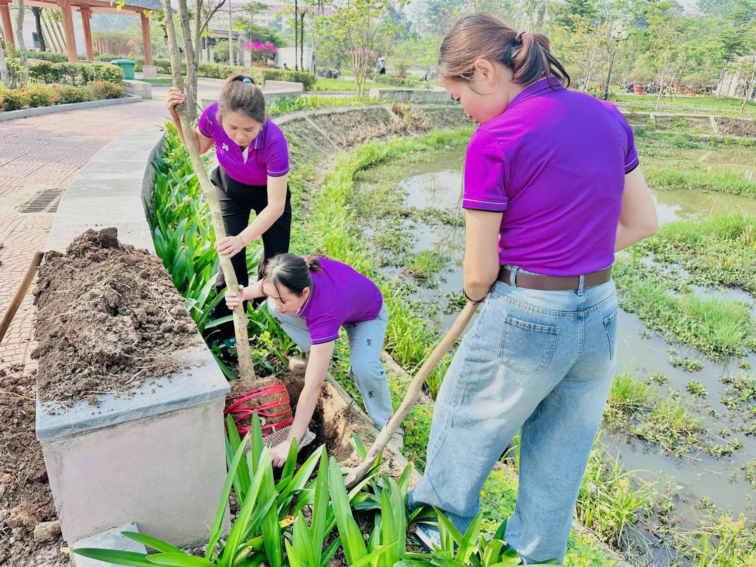 Ảnh trong bài: ĐOÀN VIÊN CÔNG ĐOÀN TRƯỜNG MẦM NON NOONG BUA THAM GIA BẢO VỆ, PHÁT TRIỂN CÂY HOA BAN TRÊN ĐỊA BÀN THÀNH PHỐ