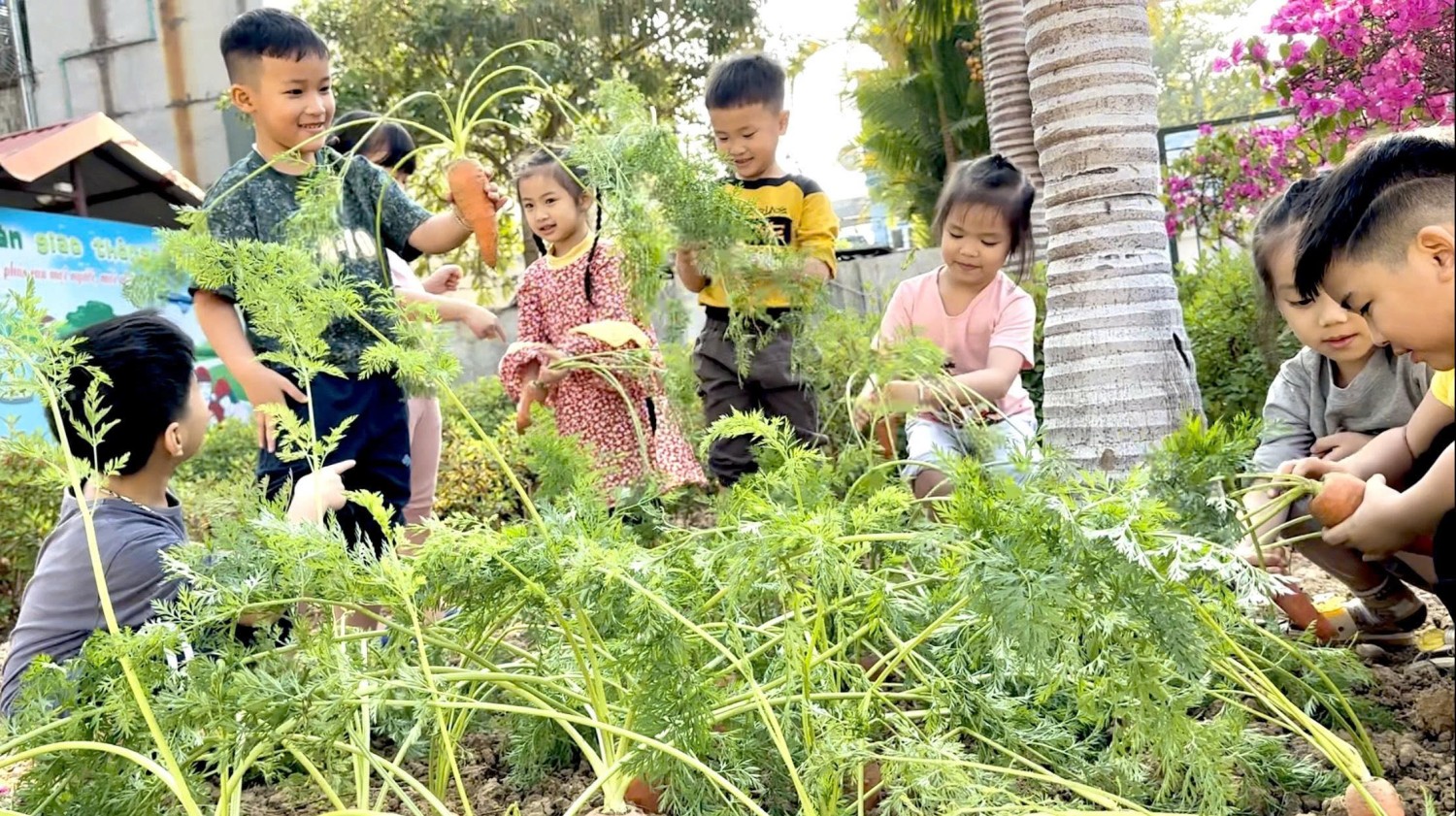 Ảnh trong bài: HOẠT ĐỘNG NGOÀI TRỜI - SÂN CHƠI BỔ ÍCH CHO TRẺ MẦM NON